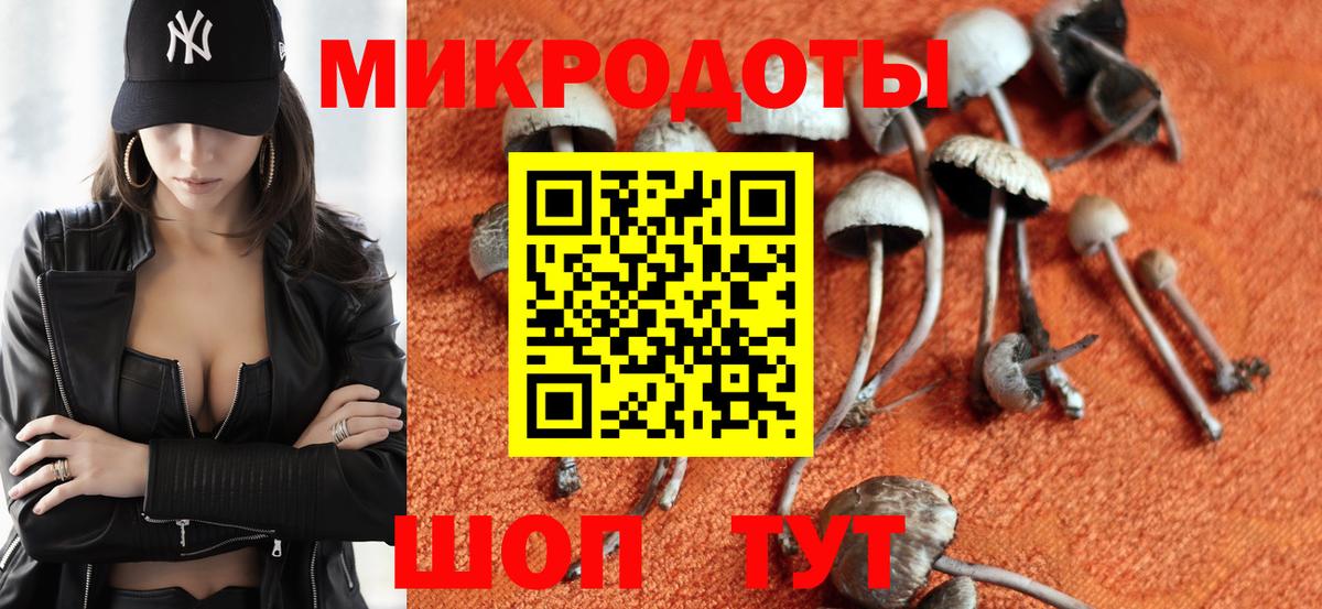 Псилоцибиновые грибы мицелий Верхний Уфалей
