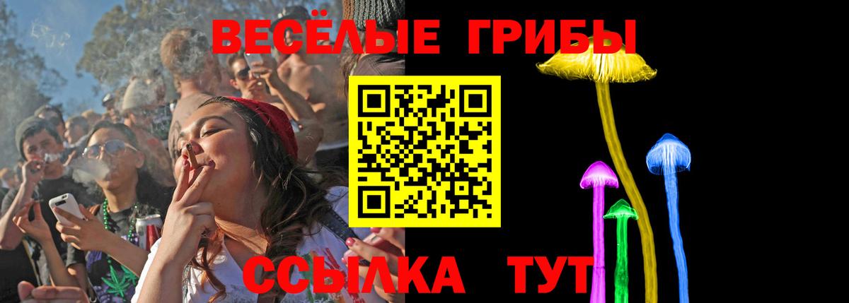 Верхний Уфалей  Псилоцибиновые грибы Cubensis  продажа наркотиков  Вход с VPN 